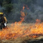 AB 1516 (Friedman) Fire prevention: defensible space and fuels reduction management.